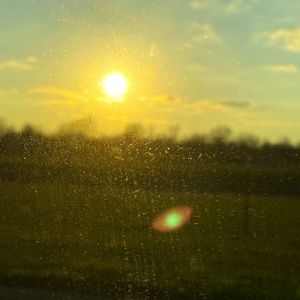 Meet your Posher, Twin